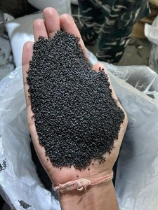 Graine de basilic doux Ocimum basilicum Tukmariya graine biologique Sabja - Product Image 6