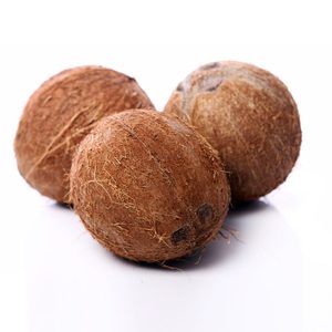 Vente en gros de noix de coco séchée de haute qualité, exportation de grandes quantités du Vietnam - Product Image 2