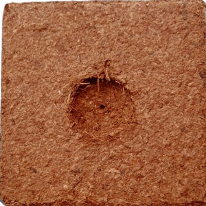 Cubos Coco - Product Image 1