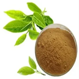 緑茶エキスL-テニン99% Lテアニンパウダー