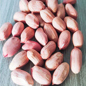 Snack de noix croustillantes séchées, cacahuètes chinoises prêtes à consommer, grillées, salées, saveur épicée, certifiées HACCP/FSSC 22000, noix concassées, OEM, à vendre - Product Image 4