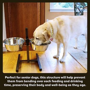 Wholesale Elevated Dog <b>Bowl</b> Adjustable Raised Dog <b>Bowls</b> Stand Non-Slip Feet with 2 Stainless <b>Steel</b> <b>Bowl</b> for Cat Pets Feeder - Product Image 4