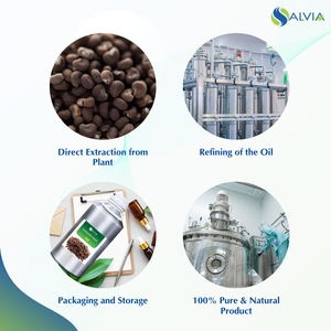 100% huile de graines d'ambrette pure et naturelle approvisionnement OEM en gros en vrac emballage personnalisé à bas prix pour les soins de santé - Product Image 4