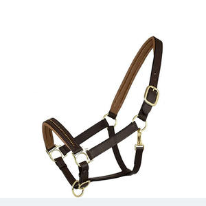 Halter polo léger réglable pour chevaux Construction de sangle durable Rembourrage doux Ajustement confortable pour l'entraînement et l'équitation - Product Image 4