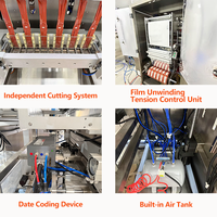 Machine d'emballage automatique haut de gamme pour sachets et sacs en papier, en acier inoxydable de qualité alimentaire, multi-voies, avec injection d'azote