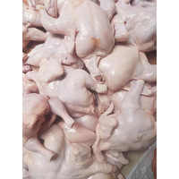 Vente en gros de poulet entier halal de haute qualité, certifié, surgelé, riche en vitamines, ailes, cuisses, pattes, prix usine