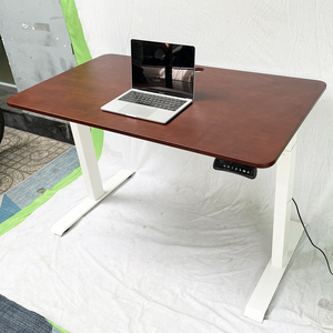 Mesa Elevadora FlexiDesk FLD020 de Diseño Contemporáneo con Motor Único y Madera de Caucho - Product Image 5