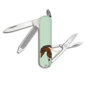 Ganado Caballos Cortador de pezuñas Cabra Oveja Cerdo Ganado Cuchillo de pezuña Mano derecha Izquierda Animal Pie Herramientas de poda - Product Image 4