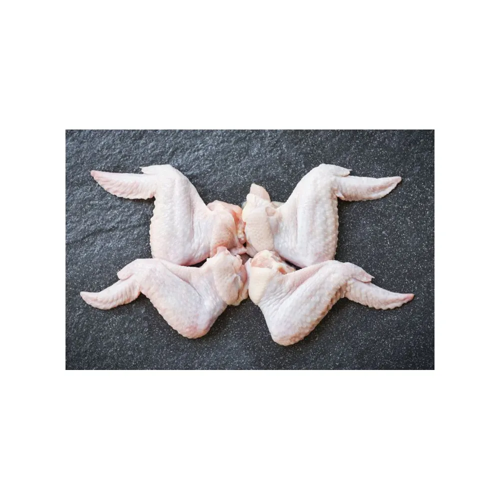 Asas de frango de alta qualidade - pés de frango com baixo teor de gordura Premium Halal frango inteiro congelado para venda