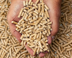 Pellets de madera-fabricantes chinos Pellets de madera EN Plug A1 A2 Calentamiento de pellets de madera - Product Image 5