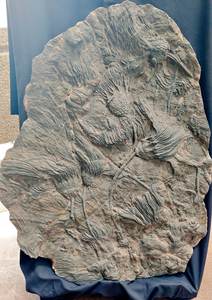 Épée en ammonite sculptée en pierre naturelle, quartz gravé, décoration d'intérieur, cadeau - Product Image 3