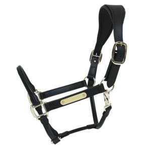 Indian Manufacturer Supplies High Quality PP Material English Saddle Horse <b>Halter</b> Fancy Stitching Customizable Design Brass - Product Image 1