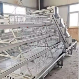 <span class=keywords><strong>Poulailler</strong></span> à 3/4/5 niveaux de type A pour 96/120/128/160 poules pondeuses, cage à poules avec équipement d'alimentation automatisé pour poules pondeuses - Product Image 1
