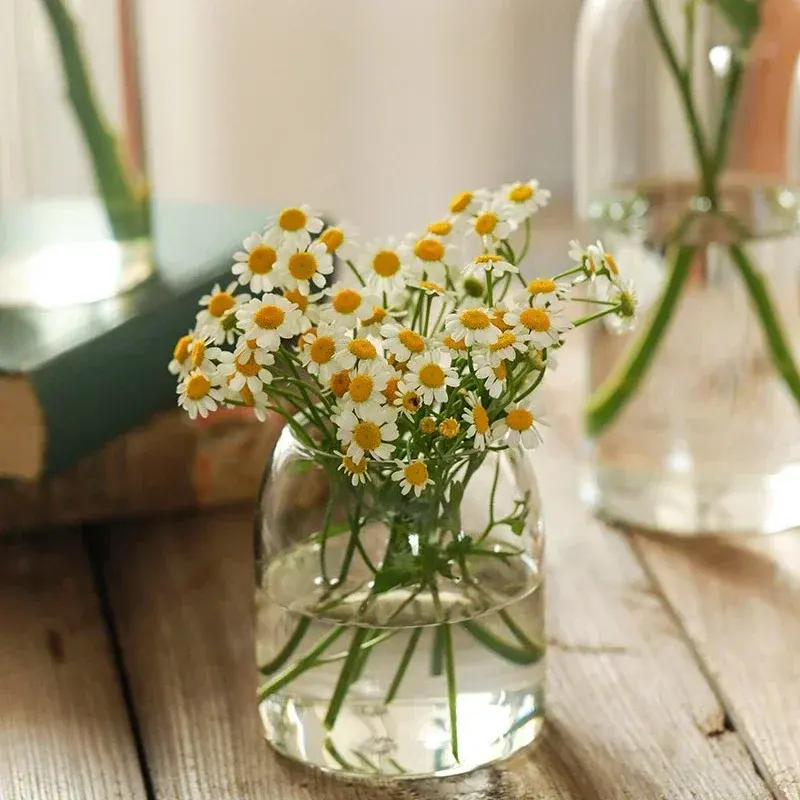 Mini Trompet Clear Vaas Kleine Tafel Vaas Voor Bruiloft Centerpieces En Thuis Tafel Decor Schattige Container Voor Bloemen