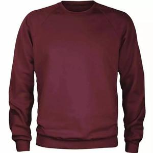 Vente en gros top Tendance Custom made OEM Sweat-shirt pour homme de haute qualité taille personnalisée et logo thermique Sweat-shirt élégant pour homme - Product Image 3