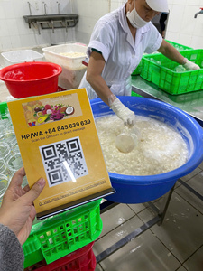 SOURSOP CONGELÉ SANS GRAINES DE QUALITÉ SUPÉRIEURE, SÉLECTIONNÉ SOIGNEUSEMENT AU VIETNAM - Product Image 2