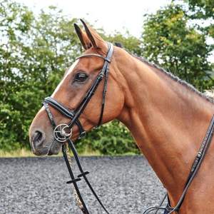 Brida Barton Bling Cuero genuino Brida de caballo de moda Brida de lujo de cuero de caballo - Product Image 6