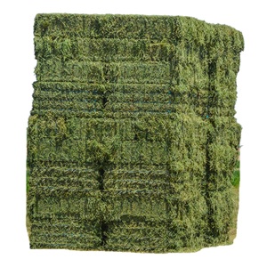 Alimento de animales de heno Alfalfa | Pellets de heno/alfalfa Timothy Hay/ Alfafa en pacas - Product Image 1