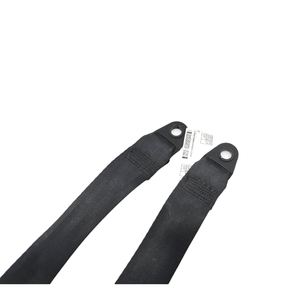 Cinghie Posteriori Lancia Ypsilon 4a Serie 735577180 (11>23) - Product Image 5