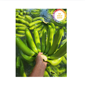 Plátano fresco fruta tropical recién cosechada Origen de Vietnam perfecto para batidos de mezcla de jugo decoración para hornear y al por mayor - Product Image 6