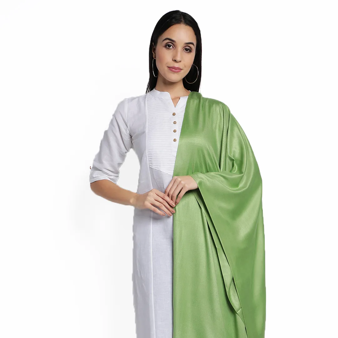 Écharpes en Viscose de haute qualité pour femmes, écharpes en Pashmina teintées, pour filles, vêtements décontractés, fabriqués par Zed Aar export
