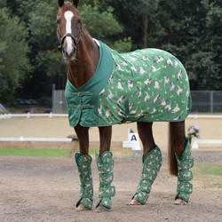 2025 Atacado de alta qualidade cavalo tapete produtos inverno sublimação cavalo tapetes tecido impermeável Shell algodão Hors velo tapetes - Product Image 2