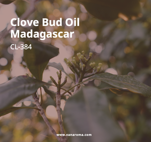 Aceite de Clavo de Madagascar con Aroma Fresco para Aromaterapia (CL-384) Van Aroma - Product Image 1