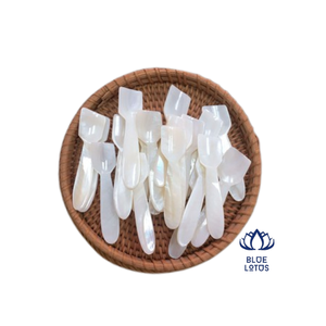 เวียดนามหอยสังข์ช้อนราคาที่ดีที่สุดสำหรับการส่งออก - Product Image 1
