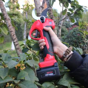 Ratcheting Pruner árvore Bateria <span class=keywords><strong>Shears</strong></span> Poda Árvore Pole Pruner tesouras Poda elétrica - Product Image 3