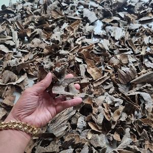 ค้นพบศิลปะโบราณของการเผาไม้ agaroud - Product Image 6