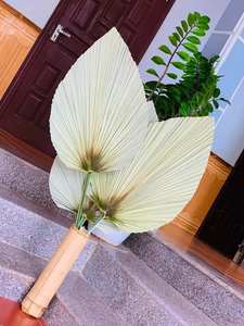 Meilleures ventes de feuilles de palmier séchées, décoration murale en feuille de palmier naturelle, décoration de mariage pour l'exportation - Product Image 3