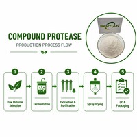 Poudre d'enzyme protéase composée de qualité alimentaire 200 000 U/g pour la hydrolyse des protéines