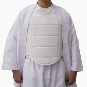 Protecteur de poitrine d'hiver haut quantité minimale de commande bas pour le protecteur de corps en nylon/polyester durable respirant et écologique personnalisable en gros - Product Image 3