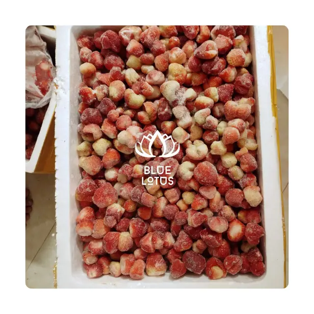 أفضل منتج فراولة مجمدة من دا لات فيتنامية كاملة قصيرة إلى نصف شرائح فراولة معيارية للتصدير كميات كبيرة بالجملة / السيدة أميليا