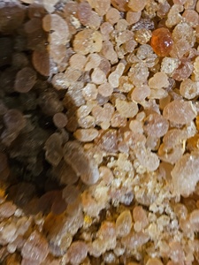 Polvo de goma arábiga de Acacia orgánica, espesante seguro y natural para alimentos y productos agrícolas de Senegal - Product Image 2