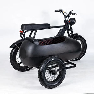 Triciclo Eléctrico PlayeBike 750w de 6 Velocidades Shimano con Sidecar, Disponible en Stock - Product Image 2