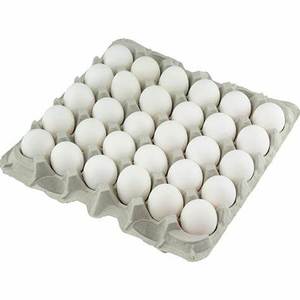 Achetez des œufs frais de poulet de chair Cobb, prix ferme, œufs de table en stock, 100% poussins prêts à éclore pour l'exportation, origine Guangdong, durée de conservation de 12 mois - Product Image 6