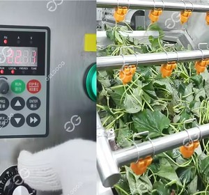 Trái cây và rau rửa thiết bị hoặc máy cà chua dán phân loại và rửa thiết bị quy mô nhỏ cà chua máy giặt - Product Image 4