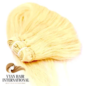 Raw Human Hair Virgin Blonde Double Drawn Aligned Cuticle Hair Top Quality Virgin Human Hair Bundles