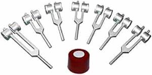 HUMAN ORGAN WEIGHTED TUNING FORK WITH Activator & <b>VELVET</b> <b>POUCH</b> - Product Image 4