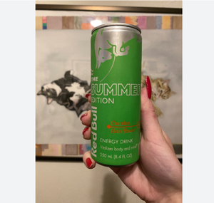 Stock para Red Bull Green Edition Energy Drink Curuba Elderflower 8,4 Floz Carbonato sin azúcar a granel Entrega rápida Mejor precio Ch - Product Image 1