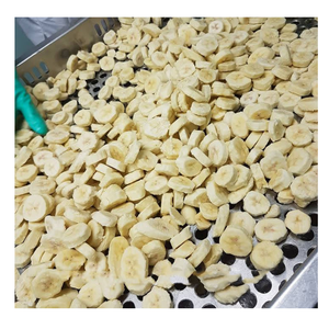 Approvisionnement en gros de bananes congelées de haute qualité, choix parfait pour les restaurants, les magasins de boissons, les détaillants de fruits surgelés du monde entier - Product Image 4