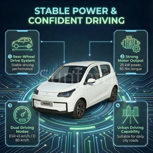Solarunterstützte Mobilitätsprojekte für Gemeinden: Mini-Elektroauto mit niedriger Geschwindigkeit aus China - Product Image 4