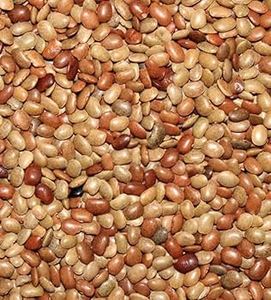 Lentejas de caballo veganas 100% naturales, ricas en proteínas, ideales para la pérdida de peso, dietas para diabéticos, preocupados por su salud y en grandes cantidades. - Product Image 5