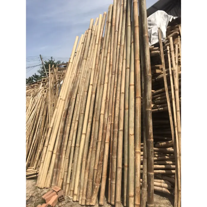 Vietnam Bamboo Cane Long Stick Hohe Qualität für den Export