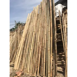越南竹藤长棒高品质出口