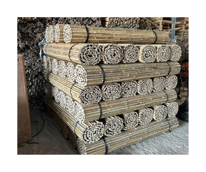 Prix de gros de poteaux de bambou approvisionnement en vrac disponible-poteau de bambou de haute qualité pour le criblage de clôture AMD 99 données d'or - Product Image 2