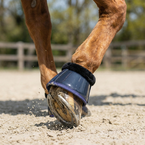 Botas de Protección para Caballos, Negras con Placas Doradas, Malla de Tela, Color Personalizable, Botas Protectoras para Patas de Equinos para Entrenamiento de Equitación - Product Image 2