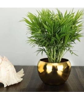 New Hot Selling Gold silver Metal Planter pot for Home Decor Living Space Plant Pot for Indoor Festive Gift Home Balcony Decor - Product Image 2