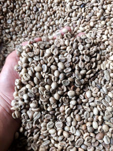 Phalco เวียดนามโรบัสต้าถั่วเขียวคั่วเมล็ดกาแฟสำหรับลดน้ำหนักอายุ2ปีบรรจุในถุงจำนวนมาก - Product Image 2